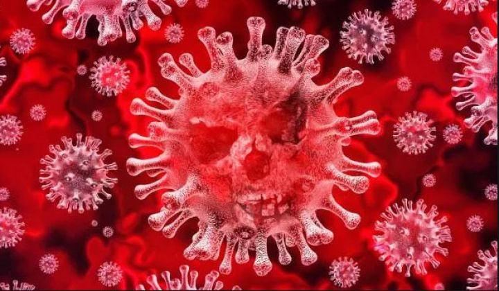 Azəbaycanda koronavirus ilə bağlı bu günə olan məlumat