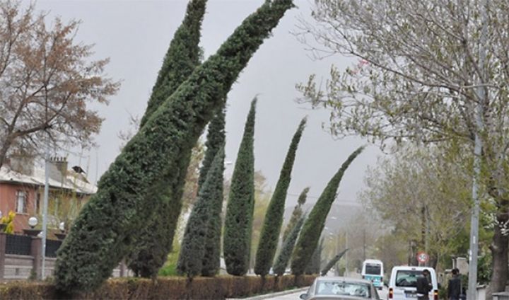 Güclü külək əsəcək - XƏBƏRDARLIQ