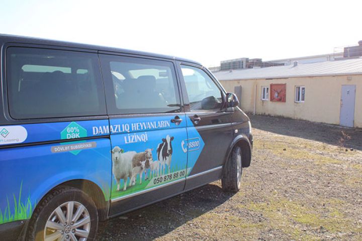 Azərbaycan fermalarında Fransız pendiri – regionlarda məşğulluq və fermerlərə əlavə dəyər