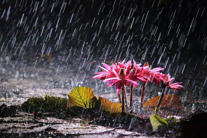 Sabaha gözlənilən hava proqnozu açıqlandı