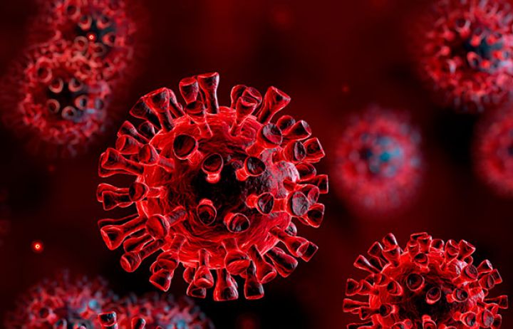 Yoluxanların sayı daha da artdı