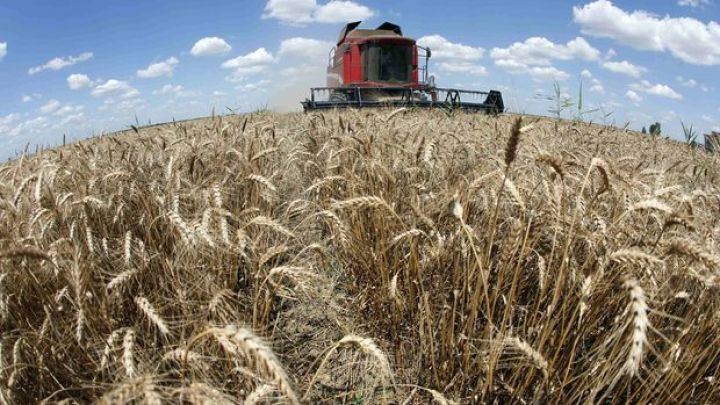 Qlobal qida qiymətləri Aprel ayında düşüb - ƏN ÇOX ŞƏKƏR UCUZLAŞIB