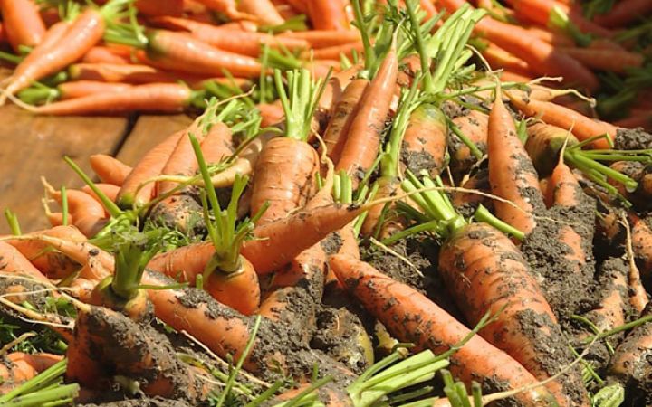 Tonlarla kök xarab ola bilər