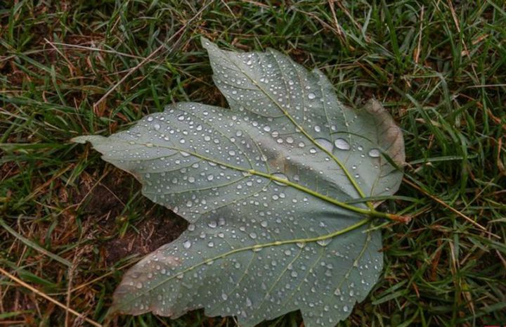 Sabahın hava proqnozu