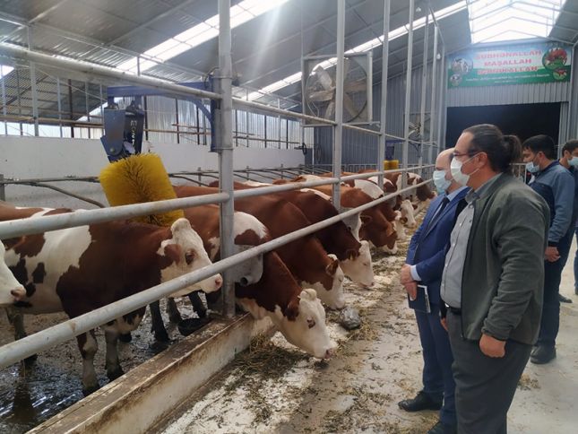 Aqrar sığorta ilə bağlı Salyan və Neftçalada fermerlərlə görüşlər keçirilib