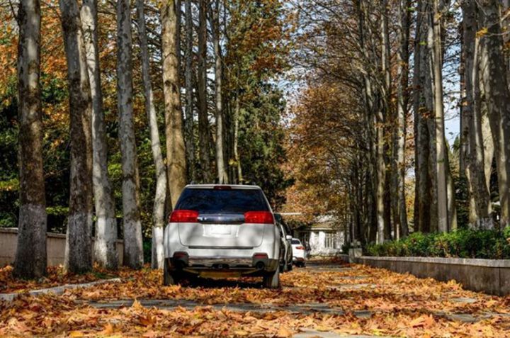 Sabahın hava proqnozu