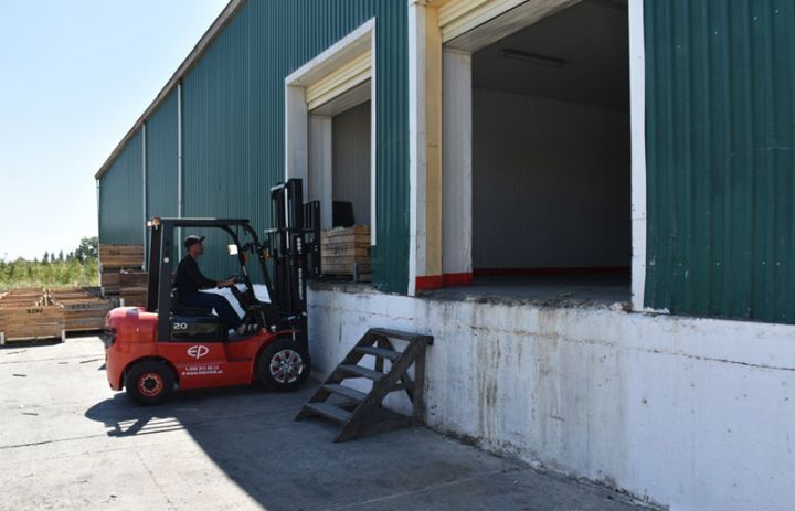 Soyuducu anbarlara daşınır, Rusiya bazarlarına göndəriləcək