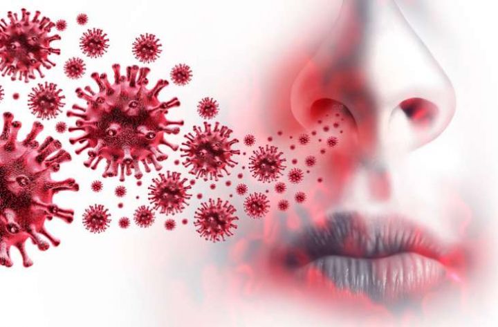 Azərbaycanda koronavirus ilə bağlı son vəziyyət açıqlandı