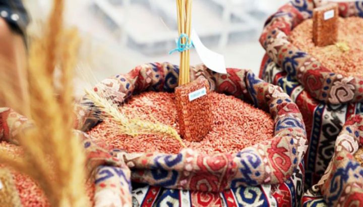 Toxum alıcısı olan fermerlərə müraciət