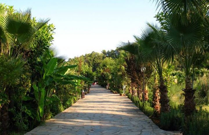 Baxımsız parklar, geniş açıq sahələr qeydə alınır - BAKIDA EKO PARK 