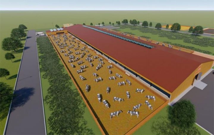 Süd ferması tikintisi layihələrinin satışı başlayır - QİYMƏTLƏR