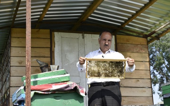 Tərtərli arıçı yeniliyə imza atıb