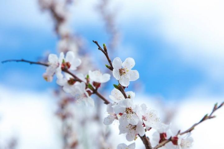 Sabahın hava proqnozu