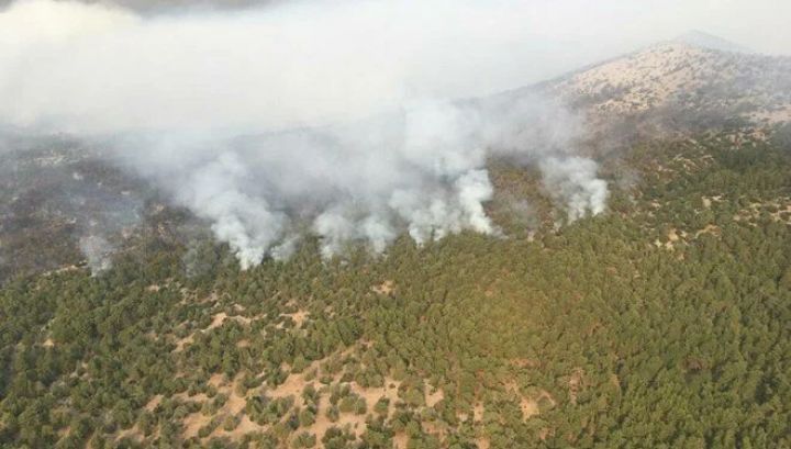 “Türkiyədəki yanğınlar bizə ibrət olmalıdır” - AQRAR SIĞORTA FONDU