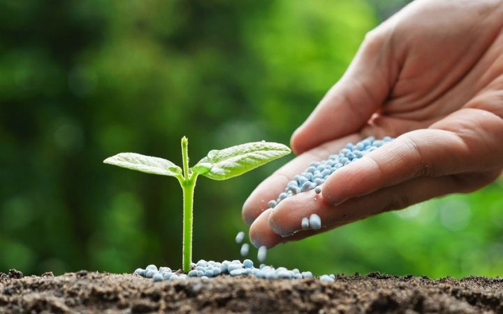 Azərbaycanda dövlət şirkəti 2 milyon manatlıq gübrə alır