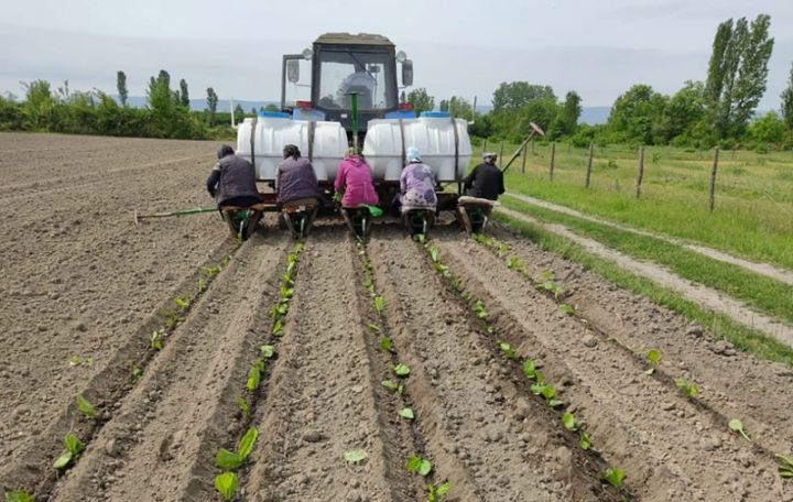 2022-ci ildə əkin əmsalları və subsidiyaları - MƏBLƏĞLƏR