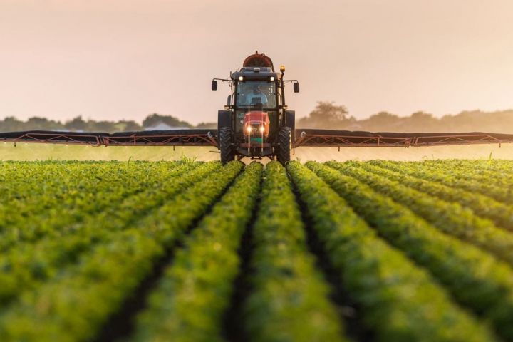 Gəncədə kənd təsərrüfatının vəziyyəti açıqlanıb