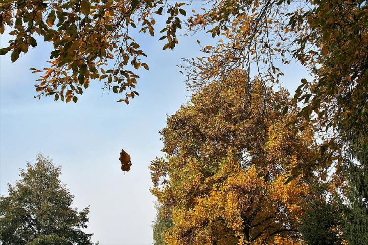 Sabaha olan hava proqnozu