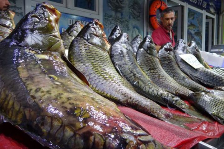 Azzərbaycan xaricdən balıq və xərçəng alışını azaldıb