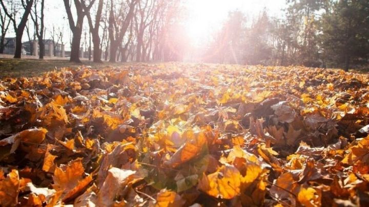 Dekabrın 10-da gözlənilən hava şəraiti