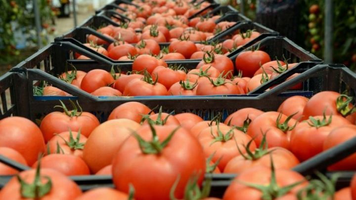 Ötən ilin ilk 6 ayında 162 milyon dollardan çox idi, bu il 123 milyona geriləyib