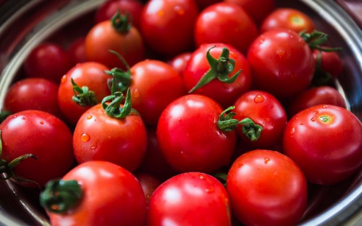 Rusiya Türkiyədən pomidor idxalı üçün kvotanı artırdı