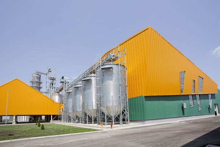 Azərbaycan İnvestisiya Şirkəti buğda toxumu istehsal edən şirkətdəki payını satıb