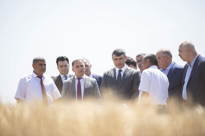 Fermerlərə yeni yerli və xarici taxıl sortları nümayiş olunub