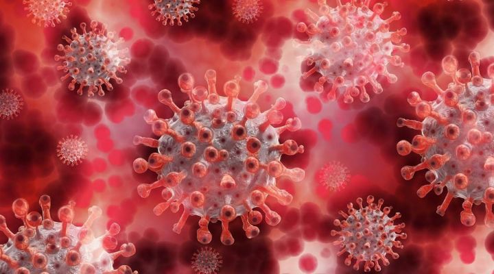 Azərbaycanda koronavirus və peyvəndləmə ilə bağlı son vəziyyət açıqlandı