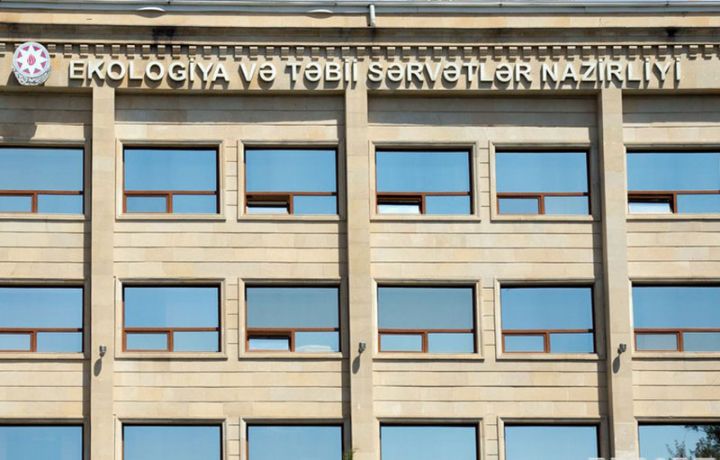 Nazirə yeni müşavir təyin olunub