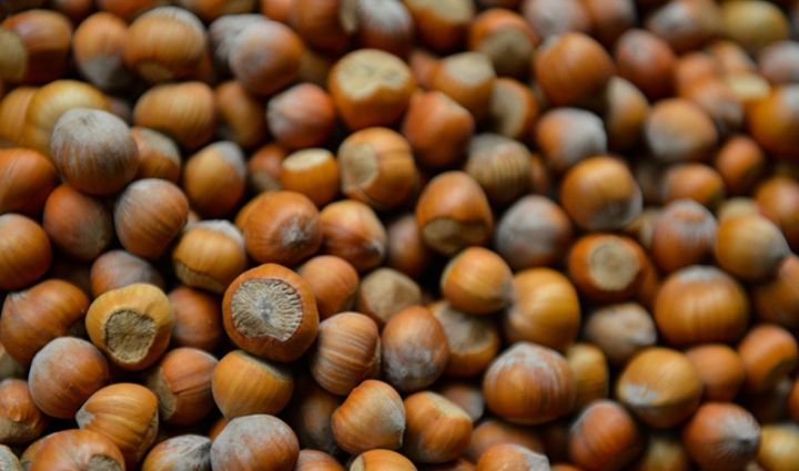 "Əsas problem fndığın geri qaytarılması məsələsidir"