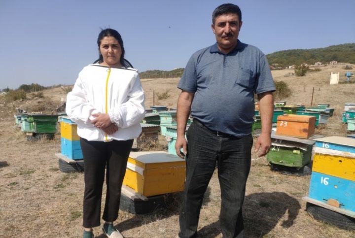 Bir yeşik arı ailəsi ilə işə başladı, indi 150 arı ailəsi var