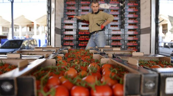 Azərbaycanın pomidor ixracından gəlirləri cüzi artıb