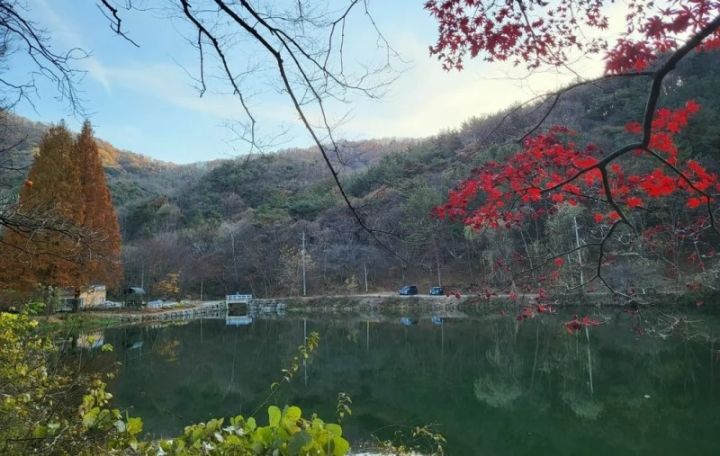 Sabahın hava proqnozu açıqlandı