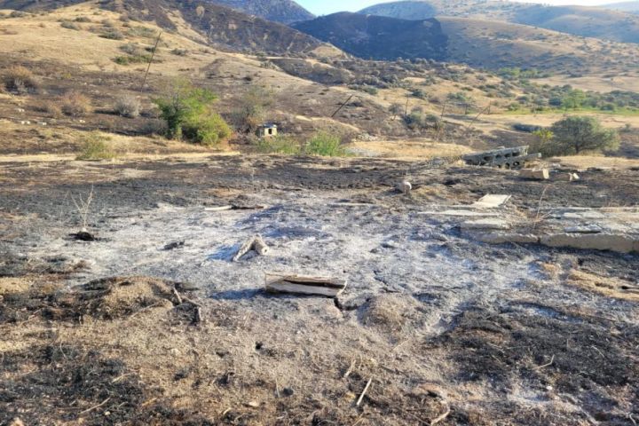 Altıağac Milli Parkına keçən yanğının ocaq qalanması nəticəsində başladığı ehtimal edilir - BİRGƏ MƏLUMAT