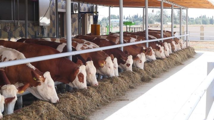 Kənd təsərrüfatıyla əlaqədar tikintilərə icazə üçün rəy alınması zəruri olan qurumların siyahısı hazırlanacaq