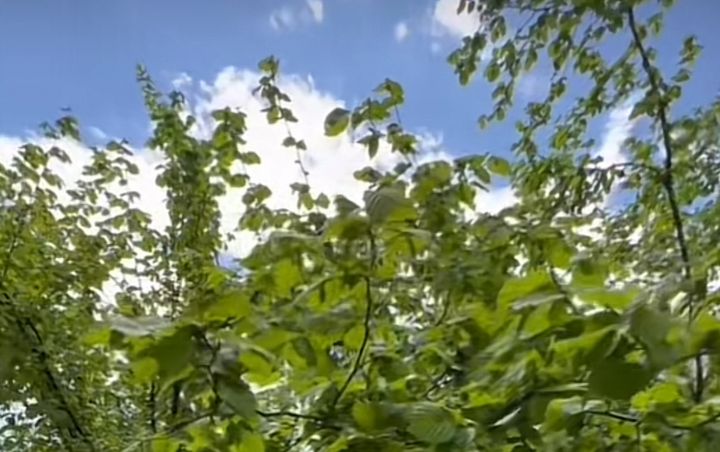 Sabahın hava proqnozu açıqlandı