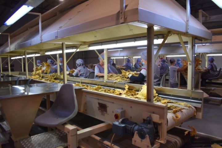 “Azərtütün”ü özəlləşdirmiş şirkət üzərinə götürdüyü öhdəliklərin icrasını başa çatdırıb