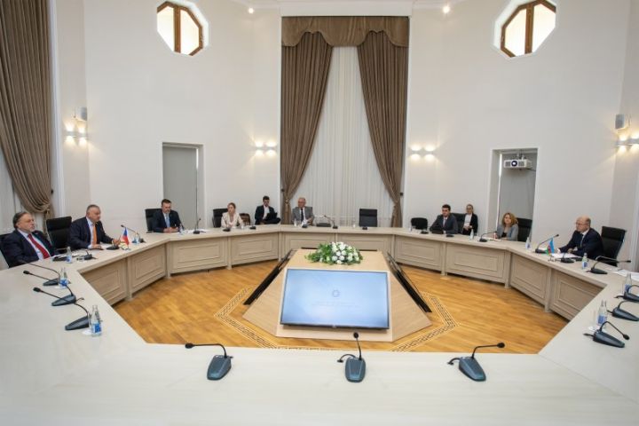 Çex şirkətləri Qarabağda günəş panelləri və külək trubinləri istehsal edə bilər