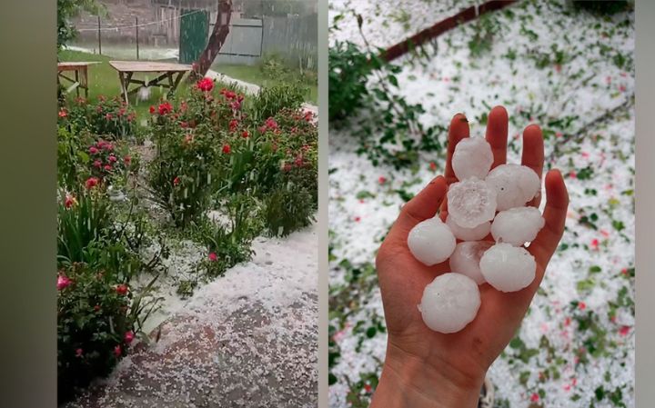Oğuza güclü dolu düşüb ,meyvə ağaclarına ziyan vurub