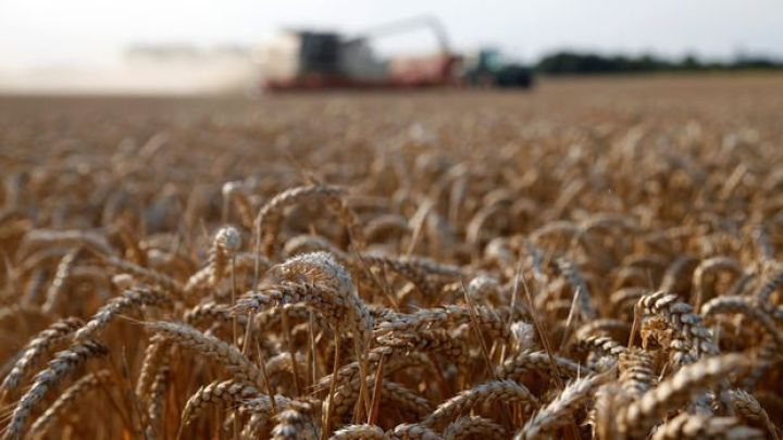 Ukraynada bənd uçdu, buğdanın qiyməti qalxdı