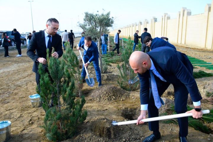 “AzInTelecom” Zəfər Günü münasibətilə ağacəkmə aksiyası keçirib