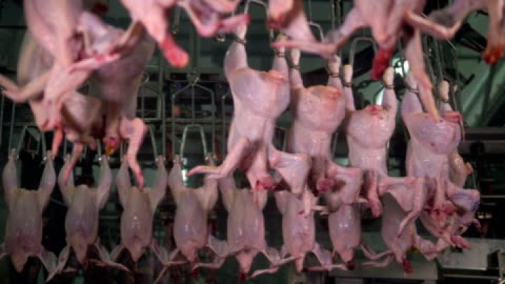 “Cəlilabad Broyler”in rəhbərliyi dəyişir, 10 milyon manatlıq borc müqaviləsi bağlayır