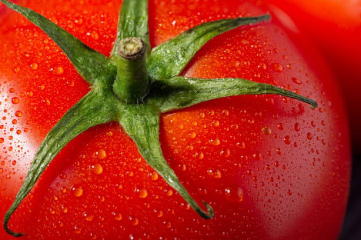 Azərbaycanın pomidor ixracından gəliri artıb