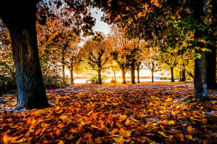 Dekabrın 13-də gözlənilən hava şəraiti