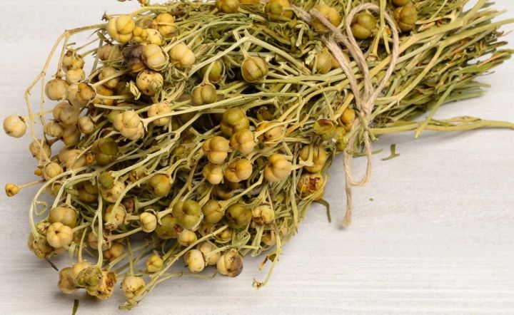 Nazirlikdən üzərlik bitkisi ilə bağlı xəbərdarlıq!