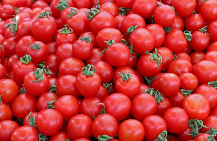Azərbaycanın xaricə pomidor satışından gəliri açıqlanıb