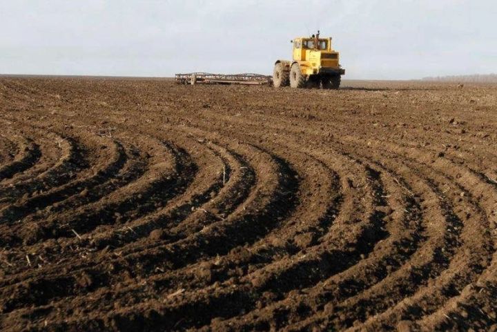 Qazax və Qusarda dövlət ehtiyacları üçün torpaq sahələri alınacaq