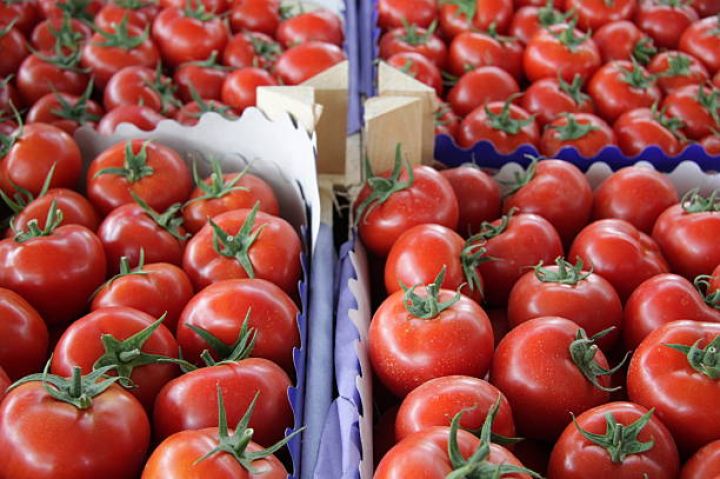 Avqustda Azərbaycandan pomidor ixracı demək olar ki, dayanıb