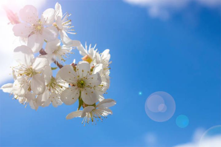 Aprelin 10-da gözlənilən hava şəraiti